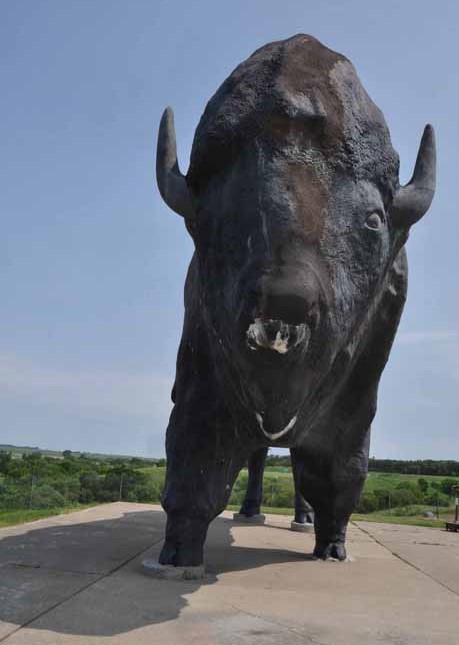 bison statue